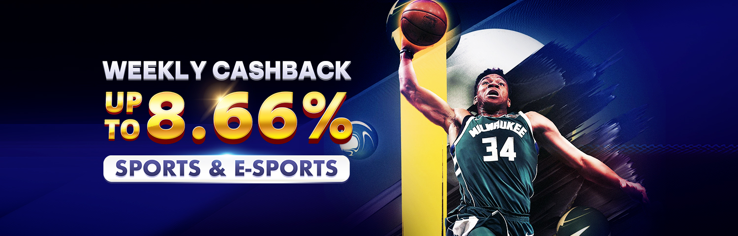 PANALOBET Sports Weekly Cashback up to 8.66% PANALOBET Sports Weekly Cashback up to 8.66%