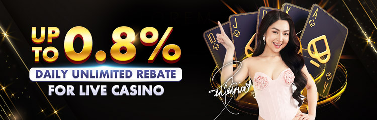 Casino 0.8% Unlimited Daily Rebate Casino 0.8% Unlimited Daily Rebate