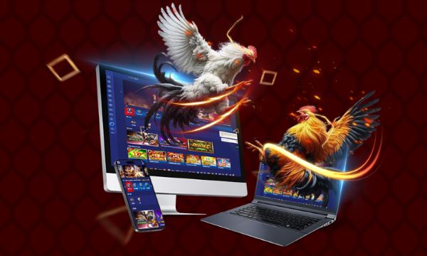 The Evolution of Online Sabong: From Traditional to Technology The Evolution of Online Sabong: From Traditional to Technology
